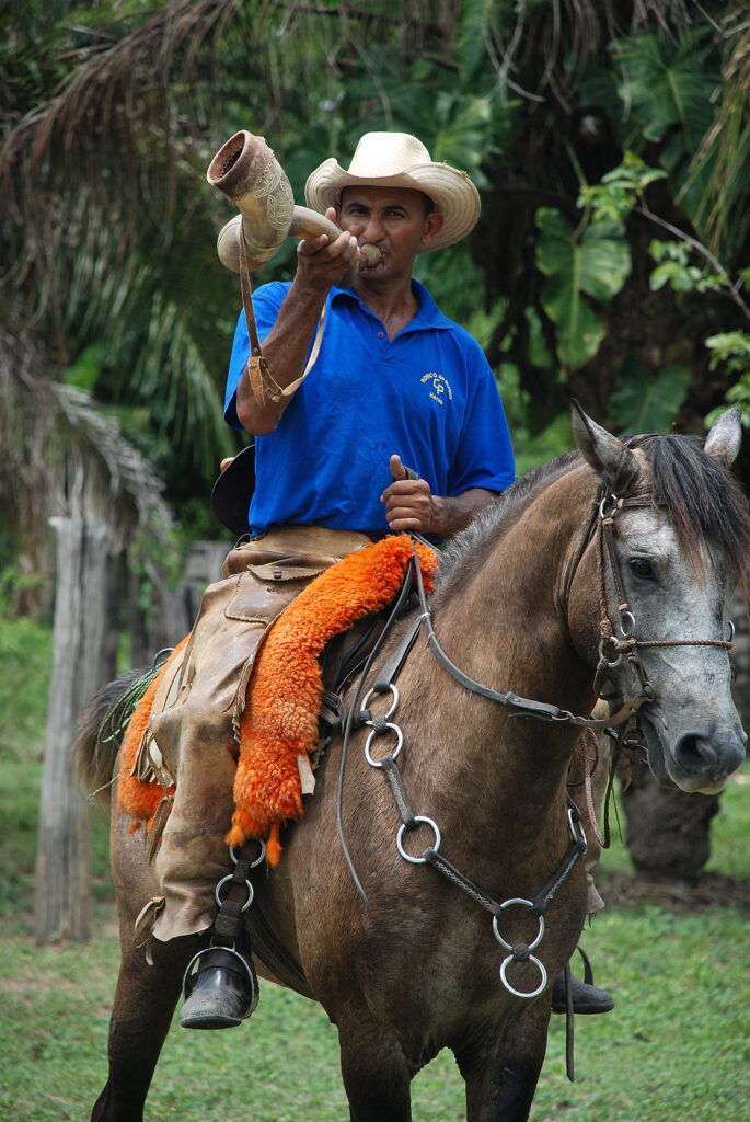 DSC 1403