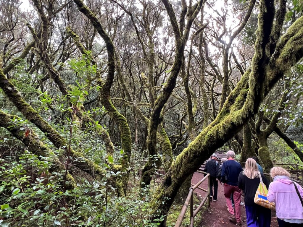 Gomera Garanjonay 1 nationaal park