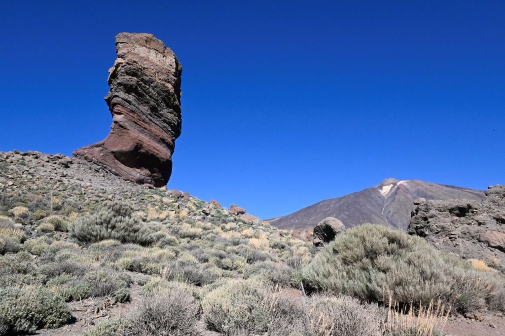Nationaal park Tenerife Teide 2