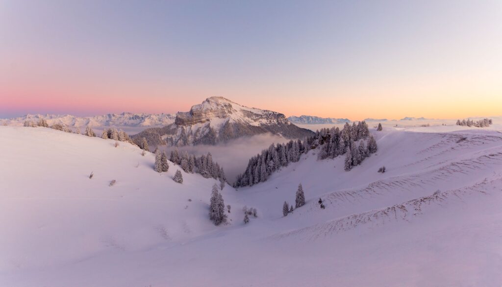 0 PNR CHARTREUSE © P JAYET225 Modify