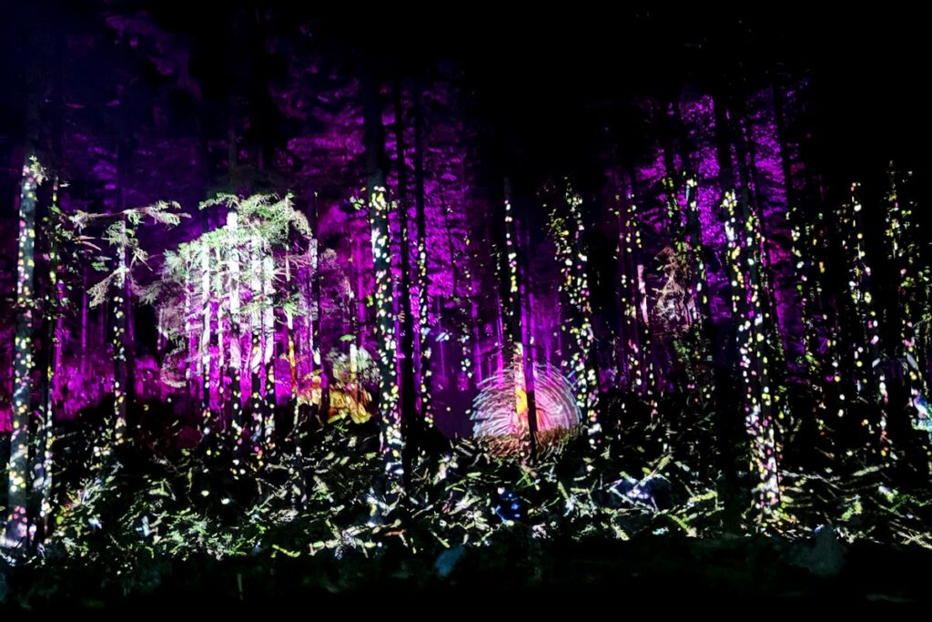 Gallery Vercors en Lumieres 1200x800 4