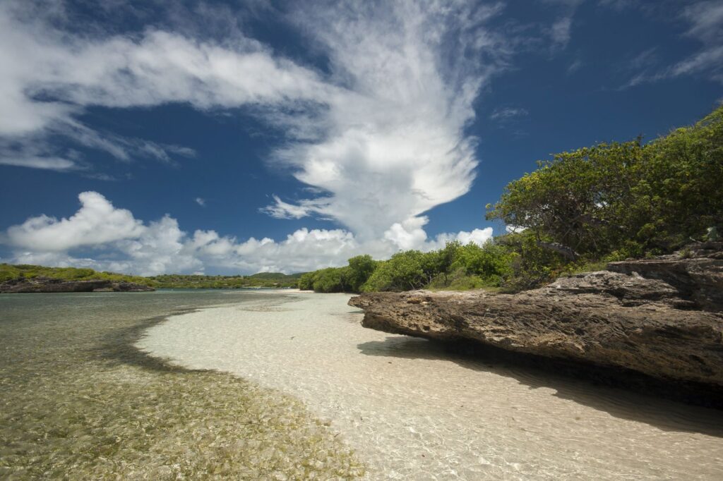 Cap Chevalier 2 J M. Raggioli rechten tot 12 augustus 2021 1