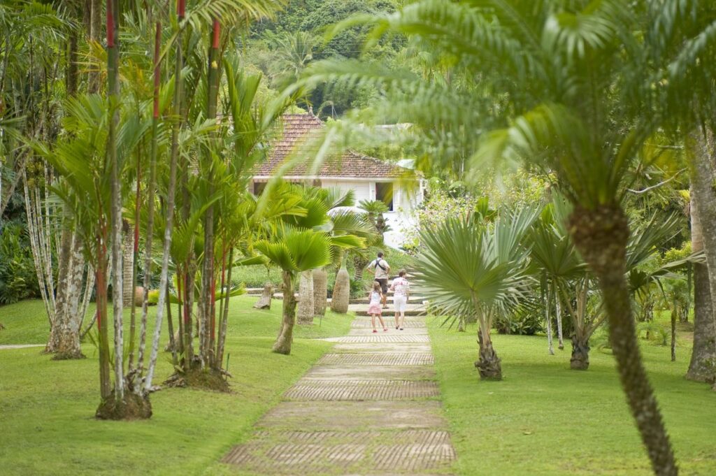 Martinique Jardin de Balata luc olivier20080526 2081