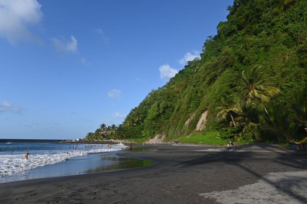 Strand Grand Riviere 1