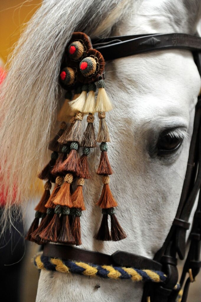 Andalusische dressuur 2