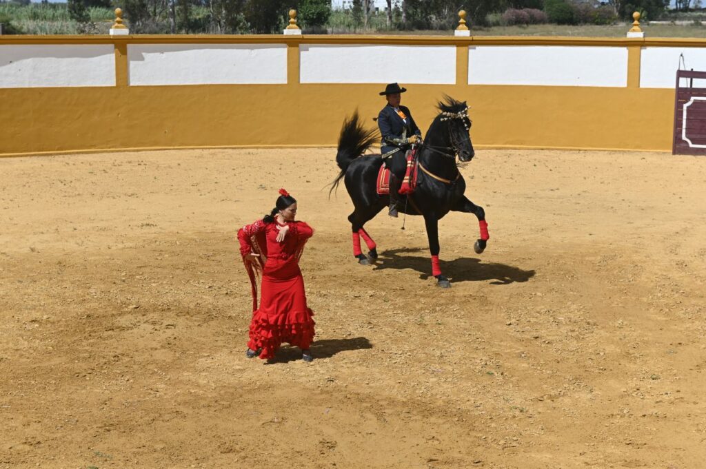 Isla Minima finca arene Folie des Grandeurs 2