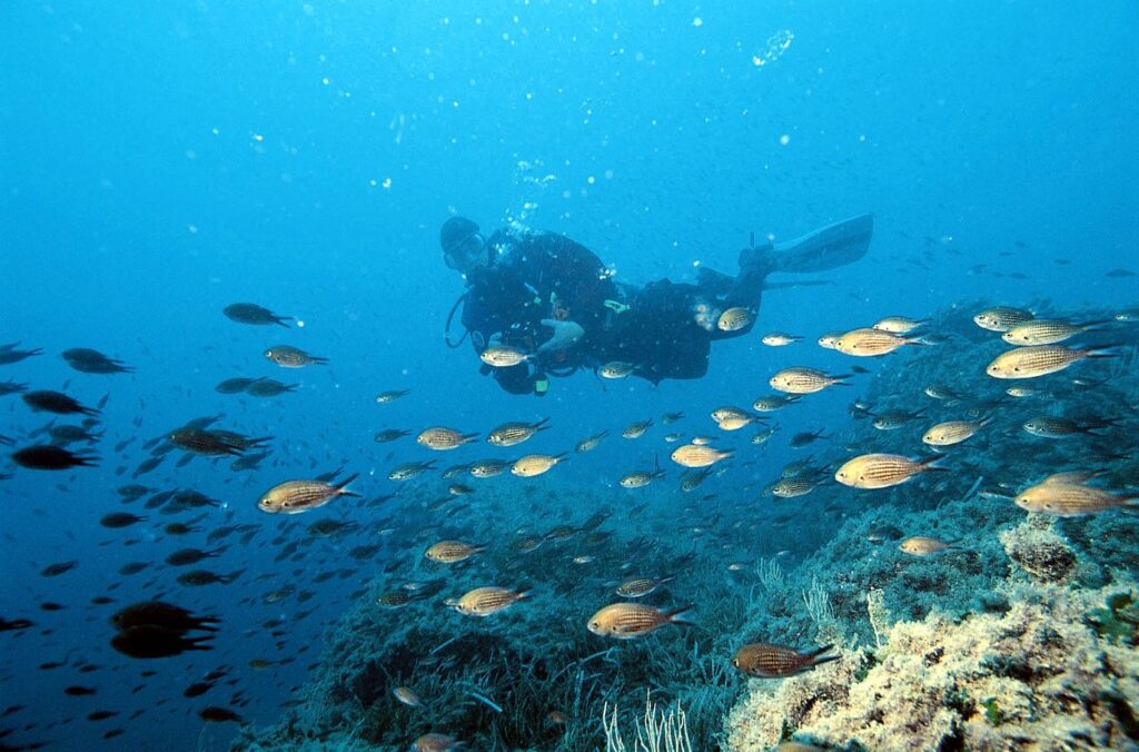 scuba diving tabarka 02