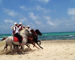 stecatlliure tunisia 979410 1280