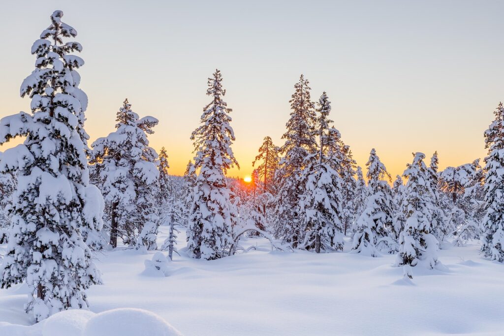 sorbyphoto winter 5892335 1280