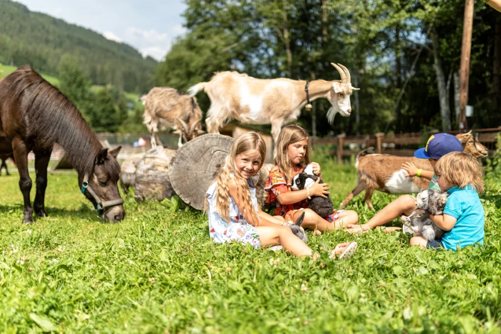 Kinderhotel Galtenberg Family Wellness Resort 305944